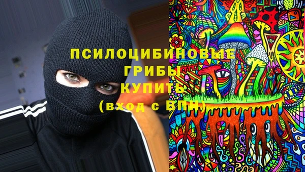 марки lsd Бородино